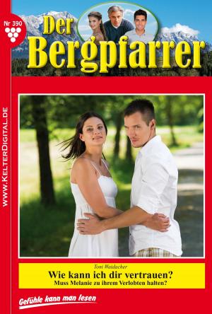 Cover of the book Der Bergpfarrer 390 – Heimatroman by G.F. Barner