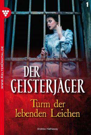 Cover of the book Der Geisterjäger 1 – Gruselroman by Tessa Hofreiter