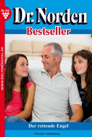 bigCover of the book Dr. Norden Bestseller 162 – Arztroman by 