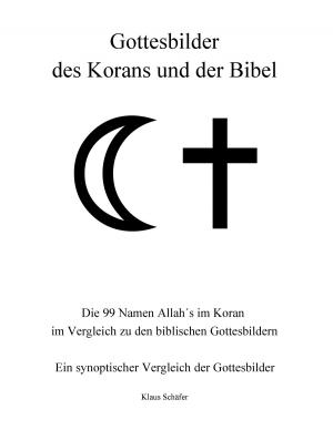 Cover of the book Gottesbilder des Korans und der Bibel by Carola Bleis