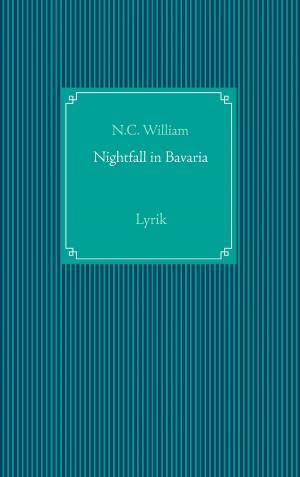Cover of the book Nightfall in Bavaria by Martin Rauschert