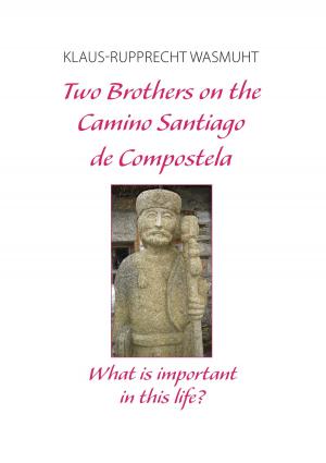 Cover of the book Two Brothers on the Camino Santiago de Compostela by Anne Joy