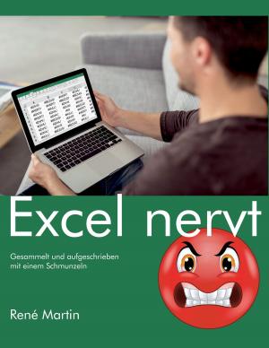 Cover of the book Excel nervt by Harry Eilenstein