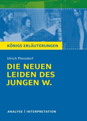 Cover of Die neuen Leiden des jungen W. Königs Erläuterungen.