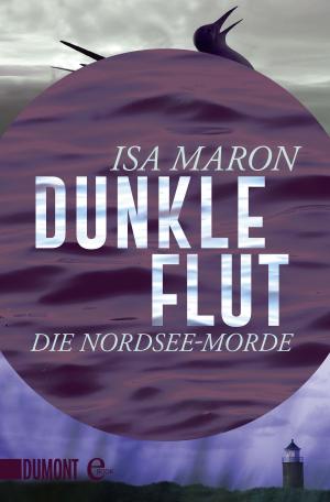 Book cover of Dunkle Flut