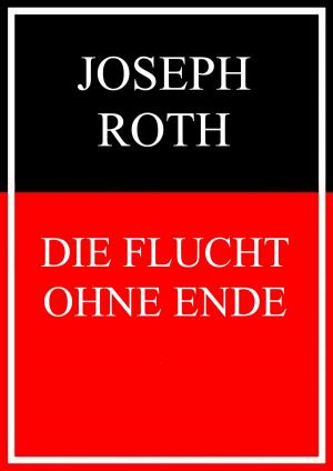 Book cover of Die Flucht ohne Ende