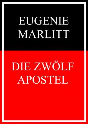 Cover of the book Die zwölf Apostel by Fridolin Gmelin