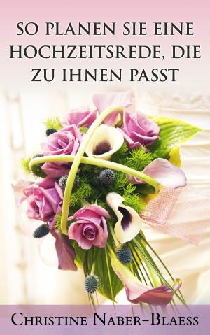 Cover of the book So planen Sie eine Hochzeitsrede, die zu Ihnen passt by Ayleen Birgit Scheffler-Hadenfeldt