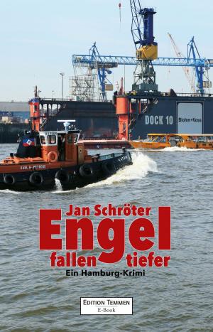 Cover of the book Engel fallen tiefer by Jan Schröter