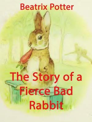 Cover of the book The Story of a Fierce Bad Rabbit by Edgar Allan Poe