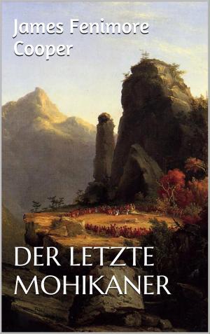 Cover of the book Der letzte Mohikaner by Heidi Schmitt