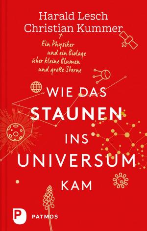 Cover of the book Wie das Staunen ins Universum kam by Gregory Benford, editor, James Benford, editor