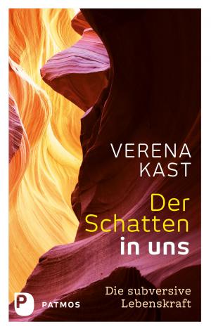 Cover of the book Der Schatten in uns by Josef Imbach