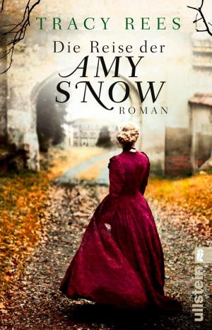 Book cover of Die Reise der Amy Snow