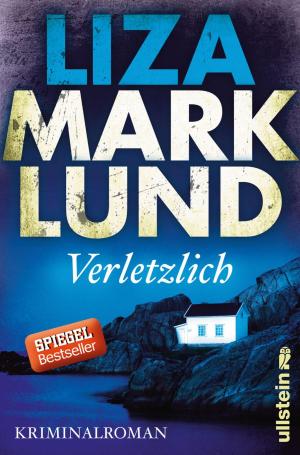 Cover of the book Verletzlich by Johanna Geiges
