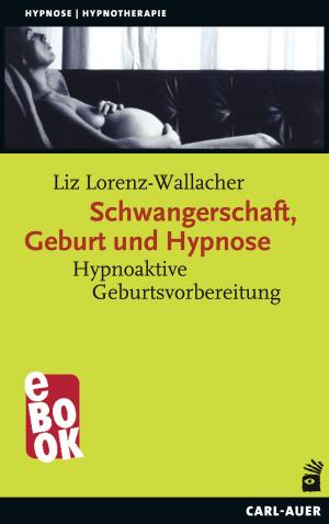 Cover of the book Schwangerschaft, Geburt und Hypnose by Andreas Eickhorst, Ansgar Röhrbein