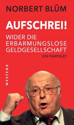 Cover of the book Aufschrei! by Albrecht Müller, Jens Berger