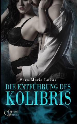 Book cover of Hard & Heart 1: Die Entführung des Kolibris
