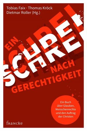 Cover of the book Ein Schrei nach Gerechtigkeit by Lynn Austin