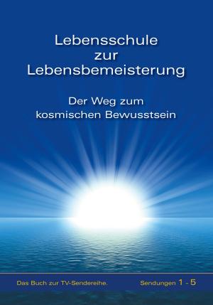Cover of the book Lebensschule zur Lebensbemeisterung by 