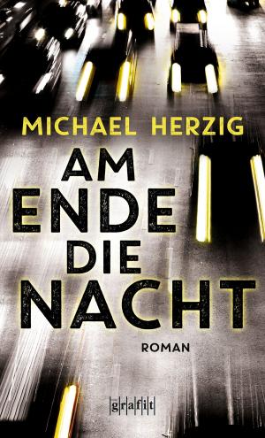Cover of the book Am Ende die Nacht by Morgan C. Talbot