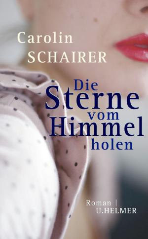 Cover of the book Die Sterne vom Himmel holen by Jule Richter