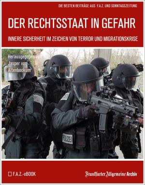 Cover of the book Der Rechtsstaat in Gefahr by Frankfurter Allgemeine Archiv, Hans Peter Trötscher