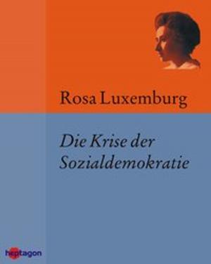 Cover of the book Der Sinn des Lebens by Rosa Luxemburg