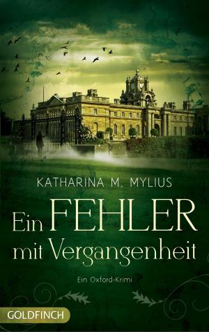 Book cover of Ein Fehler mit Vergangenheit