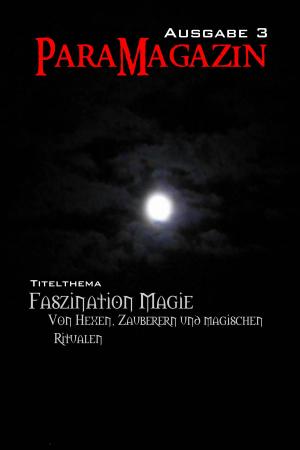 Cover of the book Faszination Magie: Von Hexen, Zauberern und magischen Ritualen by Michael Schneider
