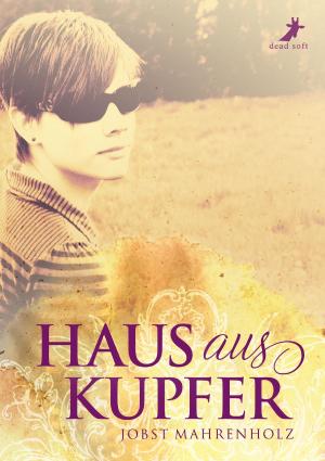 Cover of the book Haus aus Kupfer by Sandra Busch