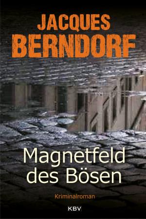 Book cover of Magnetfeld des Bösen