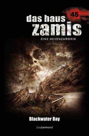 Cover of the book Das Haus Zamis 45 – Blackwater Bay by Uwe Voehl, Susan Schwartz, Ralf Schuder