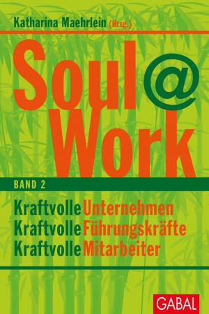 Cover of the book Soul@Work, Band 2 by Robert Grünwald, Marcel Kopper, Marcel Pohl