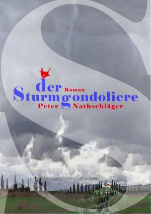 Cover of the book Der Sturmgondoliere by Brigitte Münch