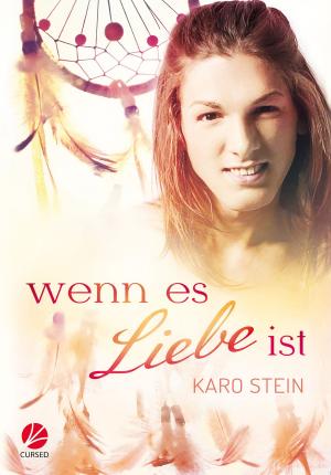 Cover of the book Wenn es Liebe ist by Anna Zabo