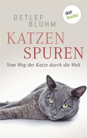 Book cover of Katzenspuren