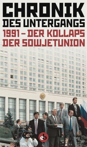 Cover of the book Chronik der Untergangs by Rainer Balcerowiak