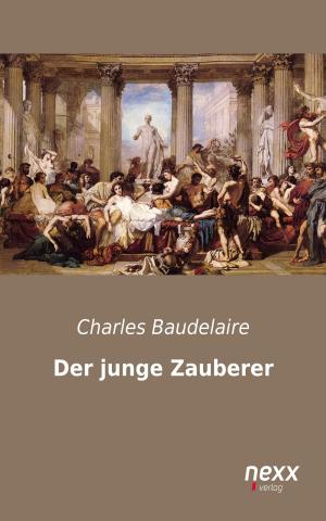 Cover of Der junge Zauberer