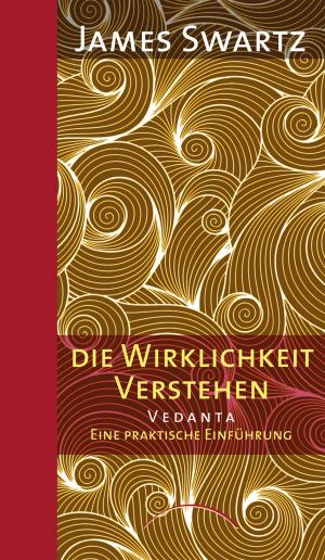 Cover of the book Die Wirklichkeit verstehen by Mary Ciofoli, Ramesh S. Balsekar