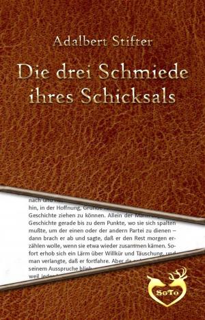 Book cover of Die drei Schmiede ihres Schicksals