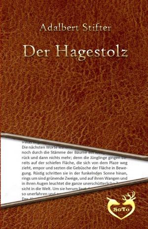 Cover of the book Der Hagestolz by Bob Haider