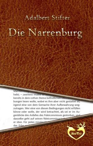 Book cover of Die Narrenburg