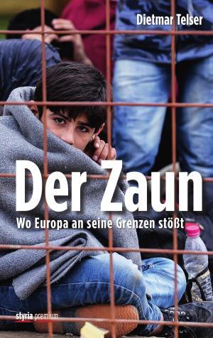 Cover of the book Der Zaun by Roland Adrowitzer, Ernst Gelegs
