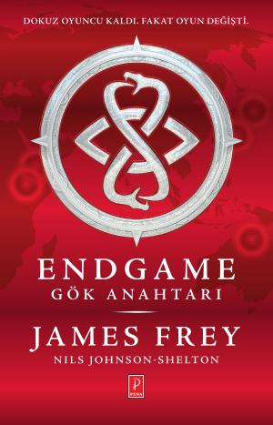 Cover of the book Endgame: Gök Anahtarı by Cora Carmack