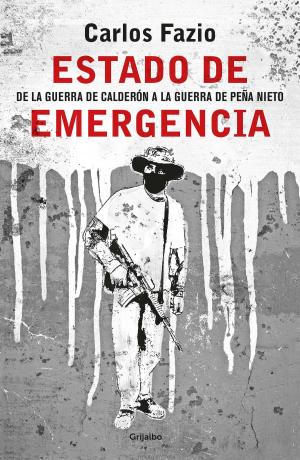 Cover of the book Estado de emergencia by Ana Coello