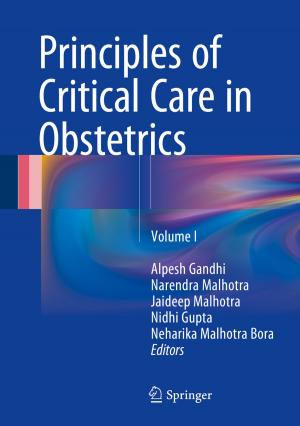Cover of the book Principles of Critical Care in Obstetrics by Amitabha Ghosh, Burkhard Corves