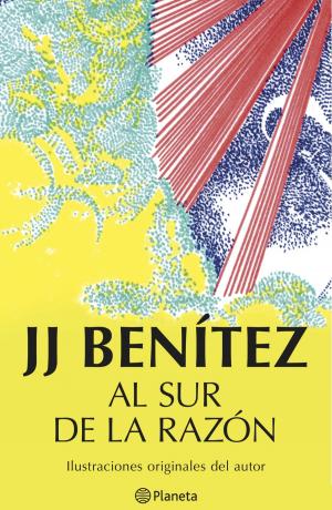 Cover of the book Al sur de la razón by Connie Jett