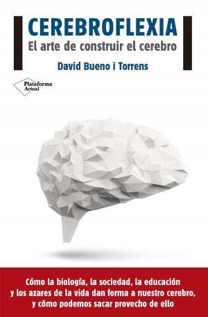 Cover of the book Cerebroflexia by Cristina Tébar