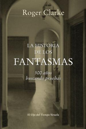 Cover of the book La historia de los fantasmas by Menchu Gutiérrez